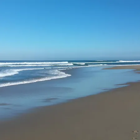 Ocean - Domaine Des Landes Lesperon (Landes)