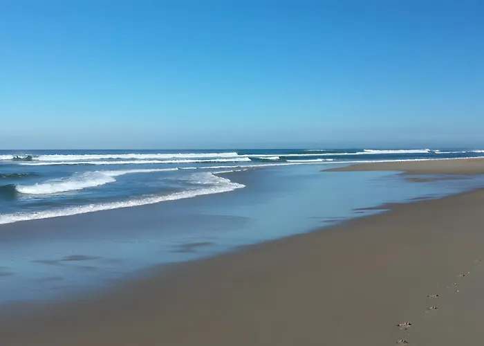 Ocean - Domaine Des Landes Lesperon (Landes)